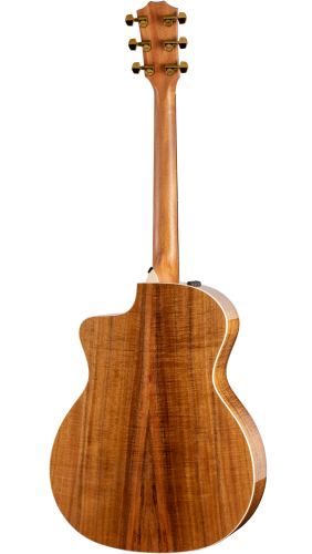 TAYLOR 214ce-K DLX фото 2